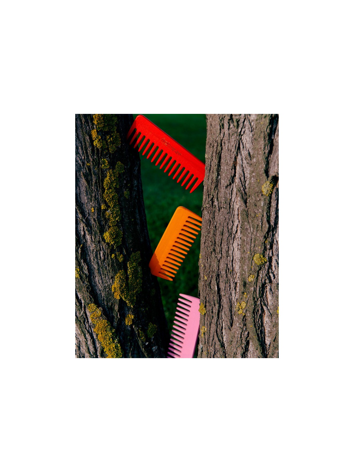 Petit peigne à dents larges frêne naturel - 1 unité(s) - Tek 
